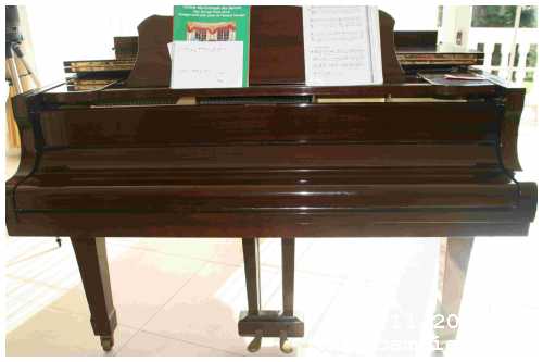 Instrumento musical en Ametlla Valles