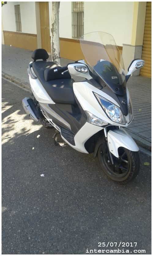 Quad en Palma del Rio